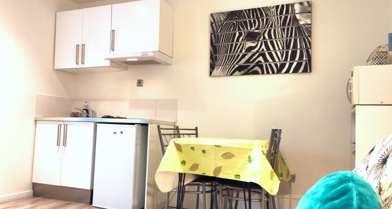 Grand Studio Cahors Centre Rdc Proche Gare Pont Valentre Apartman Kültér fotó